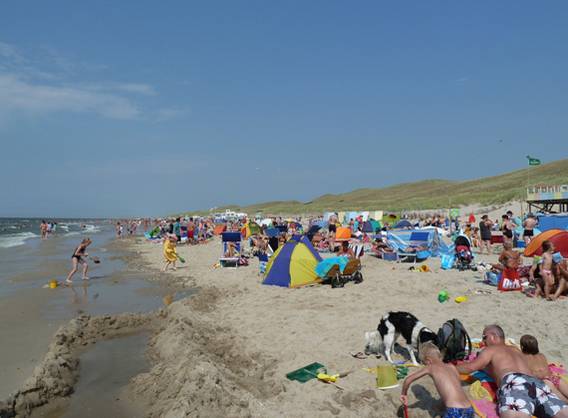 Bild zu Ferien am Meer in Callantsoog