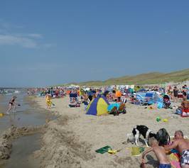 Bild zu Ferien am Meer in Callantsoog