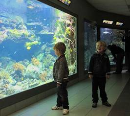 Bild zu Zee Aquarium in Bergen aan Zee