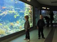 Bild zu Zee Aquarium in Bergen aan Zee