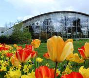 Bild zu BLUMENREICH Blumenhalle & Gartenpark